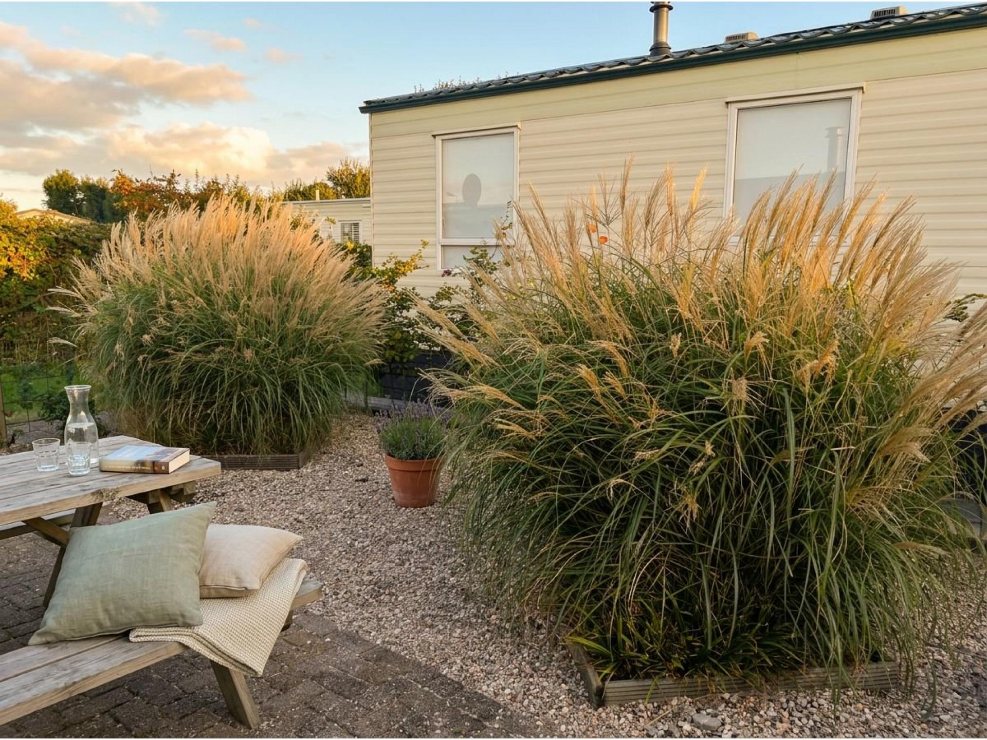 Chalet Heimathafen aan Zee Foto 17